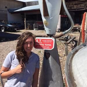 Meet your Posher, Alana